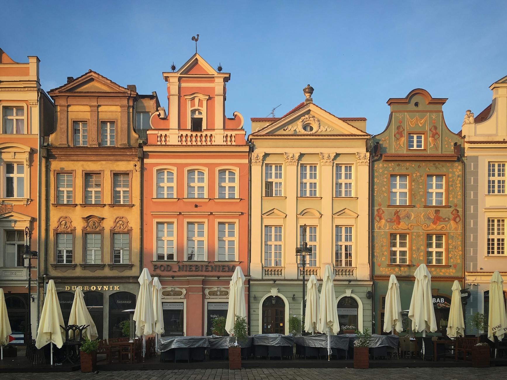Poznań rozdaje nasiona dla pszczół na słupach ogłoszeniowych, zachęcając do tworzenia przyjaznych przestrzeni dla zapylaczy.